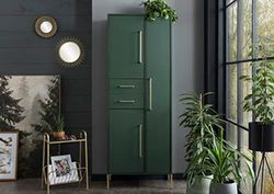 Schildmeyer Kent Mueble Alto de Materiales a Base de Madera, Color Verde Bosque y Dorado, Cerrado