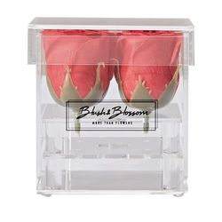 Blush & Blossom C04P Fiori, Passione, Taglia Unica