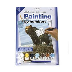 Pracht Creatives Hobby Royal & Langnickel - Peinture par numéros Grizzly, contient des couleurs et des pinceaux, pour adultes et enfants à partir de 8 ans