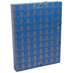 Exacompta - Ref. 59350E – 1 caja de clasificación Neo Deco con elásticos negros y dorados – en tarjeta brillante de 600 g/m2 – espalda 2,5 cm – dimensiones 25 x 33 cm – para tamaño A4 – colores