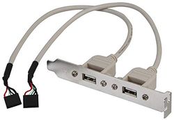 Pro Signal PSG90768 USB 2.0 Receptakel op Beugel met 0,25 m Loodlengte