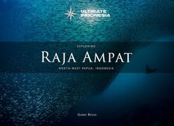 Exploring Raja Ampat: North-West Papua, Indonesia (Ultimate Indonesia: Extraordinary Adventures)