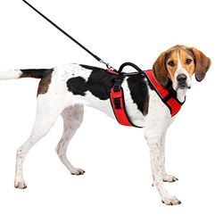 Petsafe Pettorina Easysport Petsafe: Pettorina Per Cani Imbottita E Regolabile Con Impugnatura E Bordo Riflettente - 340 Gr