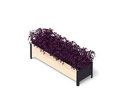 Upyard ModernBox Low Jardinière surélevée Moderne en Bois - pour Balcon, terrasse, Jardin - Jardinière pour légumes et Herbes - 118 x 36 x 32 cm - Bois Naturel