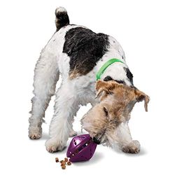 PetSafe Busy Buddy Twist 'n Treat - Dispensador de brinquedos para cães, raças médias, roxas, grandes