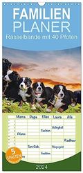 Familienplaner 2024 - Rasselbande mit 40 Pfoten mit 5 Spalten (Wandkalender, 21 x 45 cm) CALVENDO: Zuckersüße Berner Sennenhundwelpen