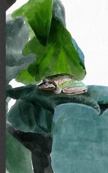 Frog Softcover Journal: A5 Journaling Notebook with 128 Dot Grid Pages