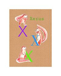 Komar Cuadro de Pared ABC Animal X Póster para habitación Infantil Letras Cuadro Salón Dormitorio Decoración Arte Impresión sin Marco P036X-40x50 Tamaño 40 x 50 cm (Ancho x Alto)