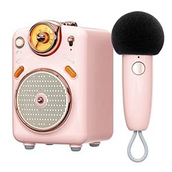 Divoom Fairy-OK Microfono Karaoke Portatile per Adulti/Bambini, Altoparlante Bluetooth con Microfono Palmare KTV, Dispositivo Karaoke per Feste a Casa Microfoni Dinamici per iOS/Android (Pink)