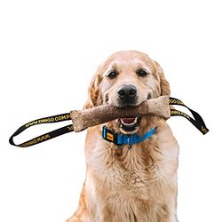 Dingo Juguete de Tira de Yute Resistente con 2 Asas para Entrenamiento de Perros, Trabajo de Mordida, Instinto de Presa, Juego de Tira y Afloja, Hecho a Mano de 28 cm en Color Natural 10598.