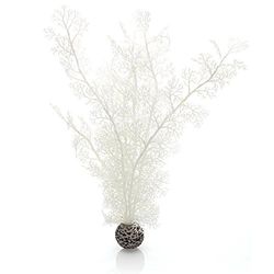 Biorb - Alcionacei