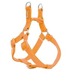 Freedog Nylon Basic Type A, Hondenharnas, oranje, 1 x 20-36 cm