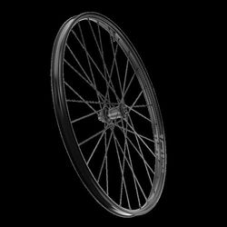 Sram, AMWH 101X TL DBCL 65F12X100 uur NTWA1 Unisex Volwassenen, Zwart, Standaard