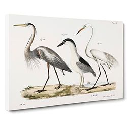 Three Herons By J.E. De Kay Vintage Canvas Wall Art Print Ready to Hang, Framed Picture for Living Room Bedroom Home Office Décor, 20x14 Inch (50x35 cm)