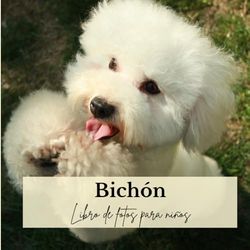 Bichón: Libro de fotos para niños