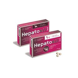 Opko Health Hepatosil 200/20 10kg 30Comp Pharmadiet 1 unità 1000g