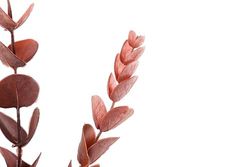 FLORES POLIESTER ROSAS 23x23x75 CM