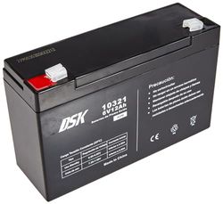 DSK 10321 - Bateria de chumbo AGM recarregável selada de 6 V e 12 Ah. Bateria ideal para carros elétricos e motocicletas para crianças, sistemas UPS/UPS, sistemas de segurança e alarmes