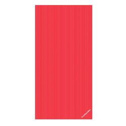Trendy Sport Groepstherapiemat - Trendy Sport RehaMat - trainingsmat - 200 x 100 x 2,5 cm, rood