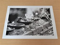 Stampa fotografica fotografia d'autore Nepal Katmandu bianco e nero religione spiritualità street photography (21 X 29,7 cm (A4))