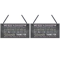 RED OCEAN Best Friend Sign Friendship Gift Funny Thank You Novelty Birthday Shabby Chic Hanging Plaque (Pack of 2)
