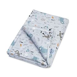 Julius Zöllner Couverture en Jersey doublé en Jersey de Coton - Dimensions : 70 x 100 cm - Fabriquée en Allemagne - Certifié Oeko-Tex Standard 100 - Smart Friends