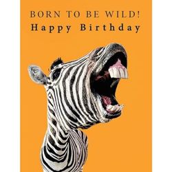 Piccadilly Greetings Born to Be Wild Verjaardagskaart Zebra - 8 x 6 inch