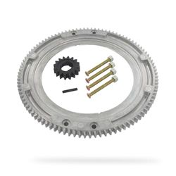 GREENSTAR - Pignon De Démarreur - Kit Couronne De Démarrage - Adaptable Moteurs Modèles BRIGGS & STRATTON - Pièce D'Origine 392134, 399676, 696537