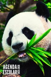 Agenda Escolar 2025 2026: Panda - Semanal Para Niños, Niñas, Primaria, Secundaria, Universitario, Adolescentes | Septiembre 2025 - Agosto 2026