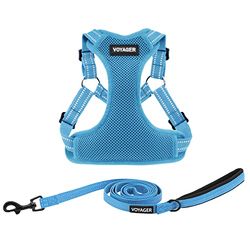 Best Pet Supplies Voyager Adjustable Dog Harness Leash Set with Reflective Stripes for Walking Heavy-Duty Full Body No Pull Vest with Leash D-Ring, Breathable All-Weather - Harness (Baby Blue), XS
