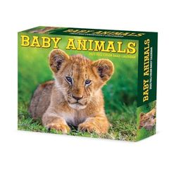 Baby Animals 2025 Box