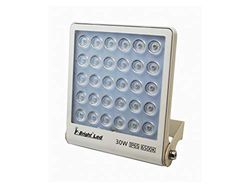 Fbright Led Proiettore LED, Bianco
