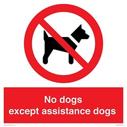 Panneau « No dogs except assistance dogs » - 400 x 400 mm - S40