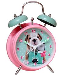 CYP Allow Studio Pets Multicolor (RD-01-ST)