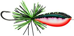 Rapala - BX Skitter Frog Visaas - Balsa/Plastic constructie - Drijvende zoetwatervisaas - Zwemdiepte Oppervlak - Maat 5,5cm/13g - Gemaakt in Estland - Toman