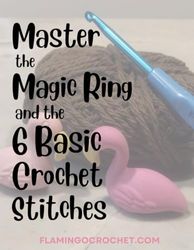 Book 1: Master the Magic Ring and the 6 Basic Crochet Stitches: Flamingo Crochet: The Learn-to-Crochet Series