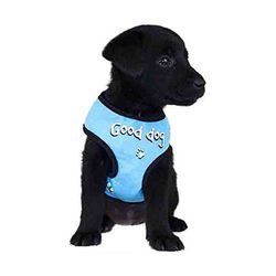 TSHIRT GOOD DOG servies blauw TXS