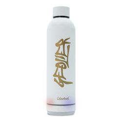 Colourbook Geolier Stainless Steel Thermal Bottle, Thermos Bottle, Integrated Bluetooth Speaker, BPA Free, 550 ml (White)