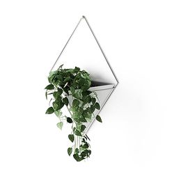 Umbra Trigg Hanging Planter Vase & Geometric Wall Decor Ceramic Container - Great For Succulent Plants, Air Plant, Mini Cactus, Faux Plants and More, Large, White/Nickel