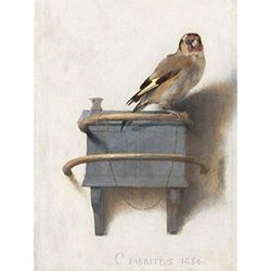 Fabritius De Goudvink Vogel Dier Natuur Schilderen Grote Muur Art Print Canvas Premium Muurschildering