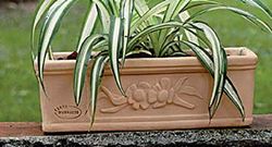 FIORIERA CASSETTA IN TERRACOTTA(2 PEZZI) FATTA A MANO; LUNGHEZZA CM. 30, ALTEZZA CM. 10, PROFONDITA’ CM. 19. MADE IN ITALY BONSAI PIANTE GRASSE
