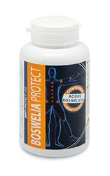 Intersa Protéger Boswellia 500Mg. 45 Perles