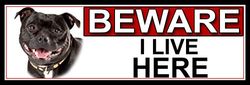 SHAWPRINT Staffordshire Bull Terrier BEWARE I LIVE HERE METAL GATE SIGN 266mm x 87m. (481H2)