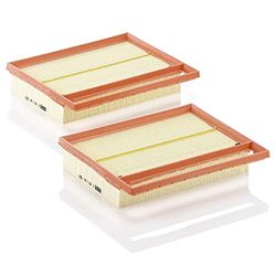MANN-FILTER C 25 110-2 Air Filter - CARS + TRANSPORTERS