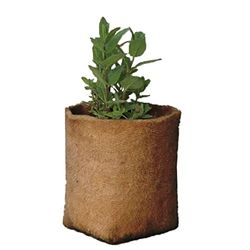 Haxnicks Hennep Planter | 5L | HEMP010101