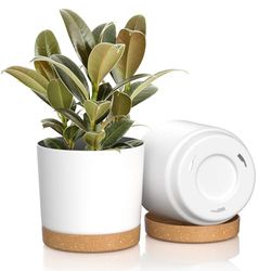 FIASON Lot de 2 Pots de Fleurs en Plastique de 16,5 cm avec Trou de Drainage et Soucoupe, Simples, Beaux, durables pour intérieur, extérieur, Plantes Grasses, Fleurs (Blanc)