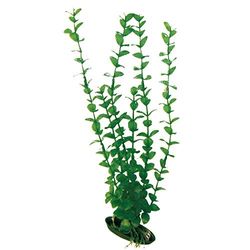 Amtra Wave Plant Classic Rotala SM