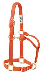 Weaver Leather Cabresto ajustável de nylon para cavalo, cor laranja