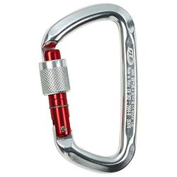 Climbing Technology D-Shape SG karabijnhaak zilver/reed gate 2017 karabijnhaak