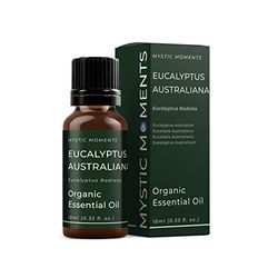 Mystic Moments Eucalipto Australiano (Radiata) Olio Essenziale Organico - 10ml - 100% Puro